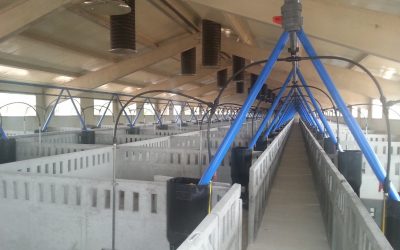 ingenieriatecnicaagroalimentaria